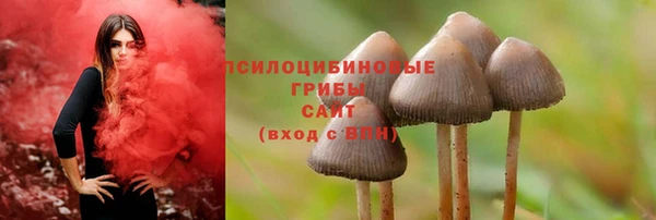 PSILOCYBIN Верея